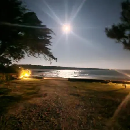 Neuf 39m2 Avec Balcon A 250m De La סן-ונסן-סור-ז'אר