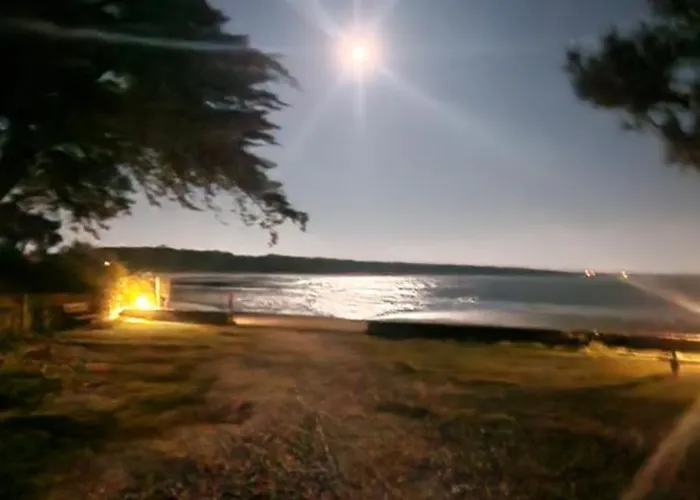 Neuf 39m2 Avec Balcon A 250m De La Saint-Vincent-sur-Jard